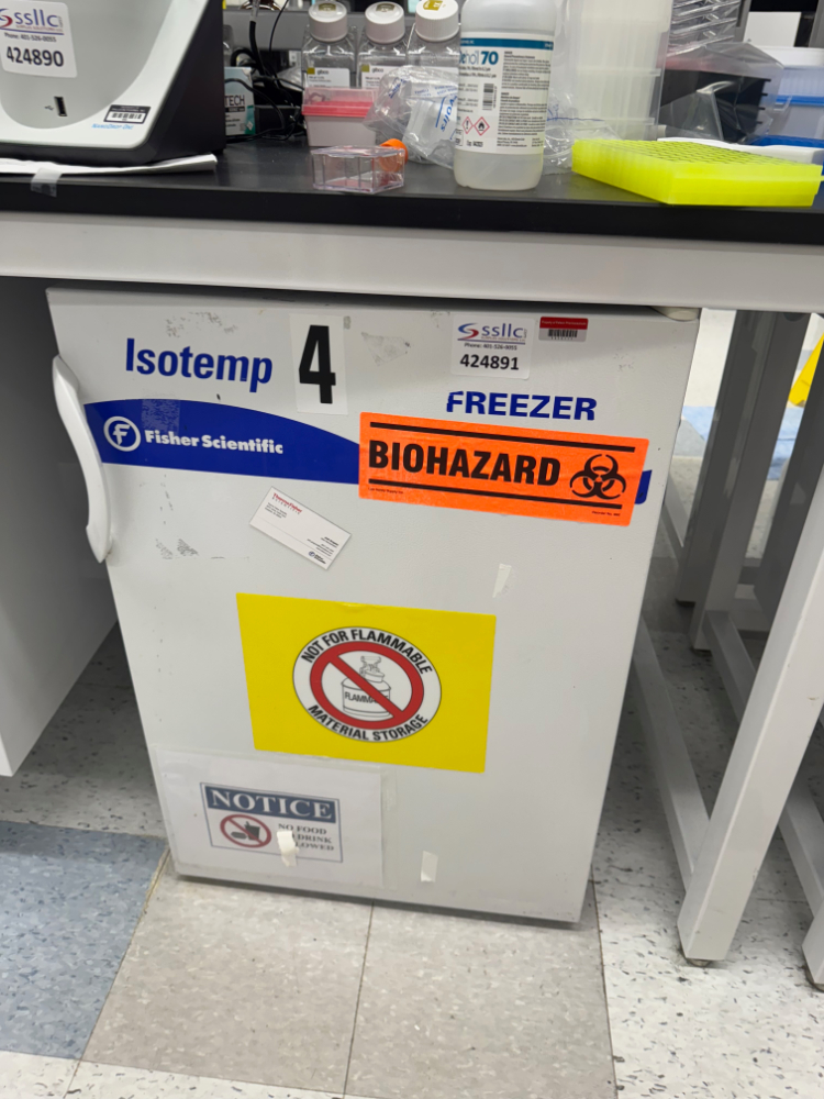 Image of Fisher Scientific Isotemp Undercounter Freezer